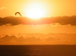 Serene Sunrise