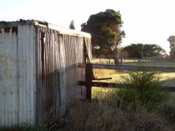 Shed