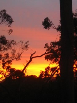 Sunset In Paradise
