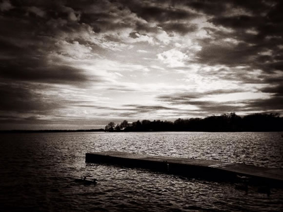 The Dock