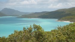 Ocean View