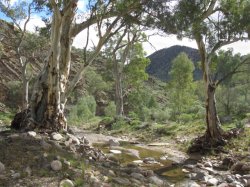  Flinders Ranges, Bunyeroo Valley, Sa