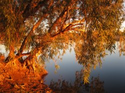 De Grey River Wa