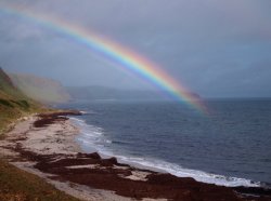 Lady Bay Pot Of Gold