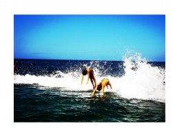 Dolphins