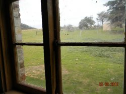 Looking Out