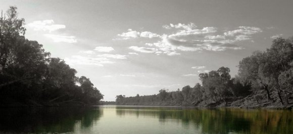 Daly River From Mango Farm