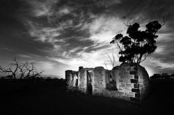 Homestead