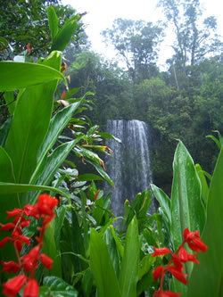 Waterfall