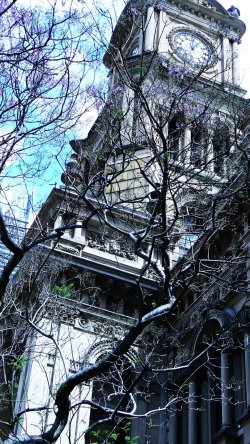 Build Above Dust And Bones,  Townhall, Sydney