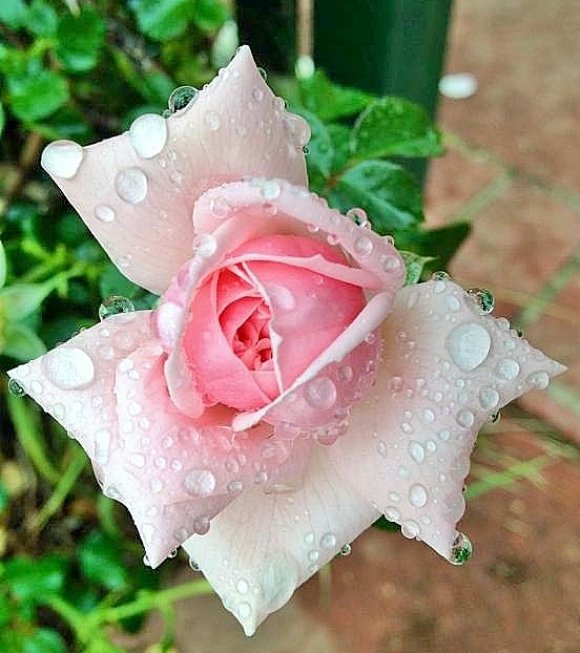 After The Rain