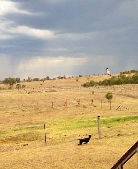 Stormy Chase