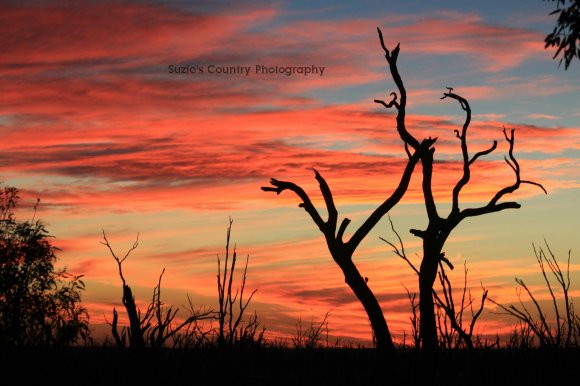 Sunset Over Winton Wetlands