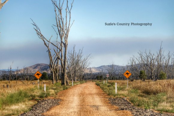 The Dry Road The Peace