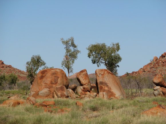 Outback Beauty