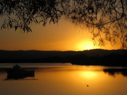 The Setting Sun