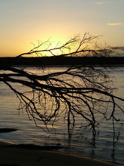 Noosa Waters Sunset
