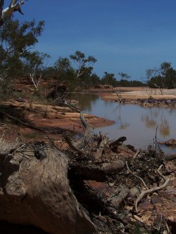 The Gee Gully Creek