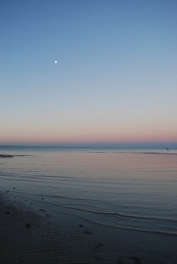 The Wakening Moon