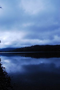 Tranquil Blue