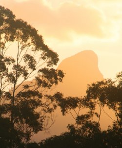 Mt Warning Late Afternoon