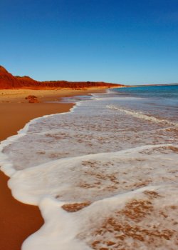James Price Point - Priceless