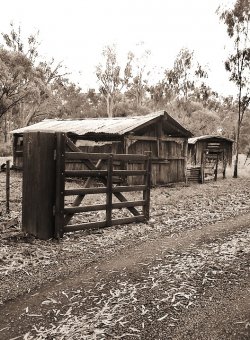 Rundown Shed In The Little Town Of Echuca