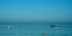 Tug Boat