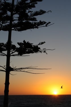 Sunset At Scarborough Beach