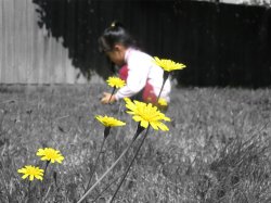 Picking Flowers