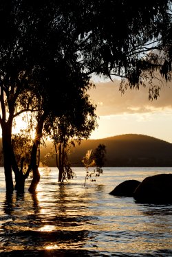 Sunset At Leslie Dam