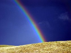 Sedan Rainbow