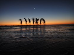 Dancing In Broome