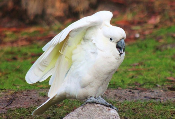 Strike A Pose!!