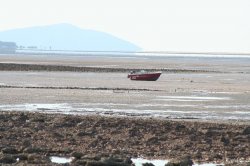 Tides Out