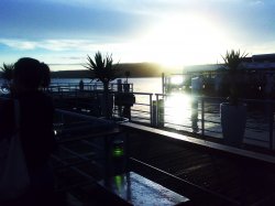 Drinks At Sunset - Manly Wharf