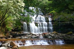 Whispering Waters