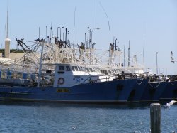 The Fleet
