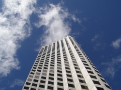 Reaching For The Sky