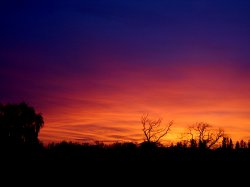 Another Day Gone