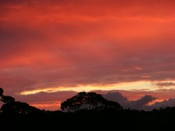Colorful Sky