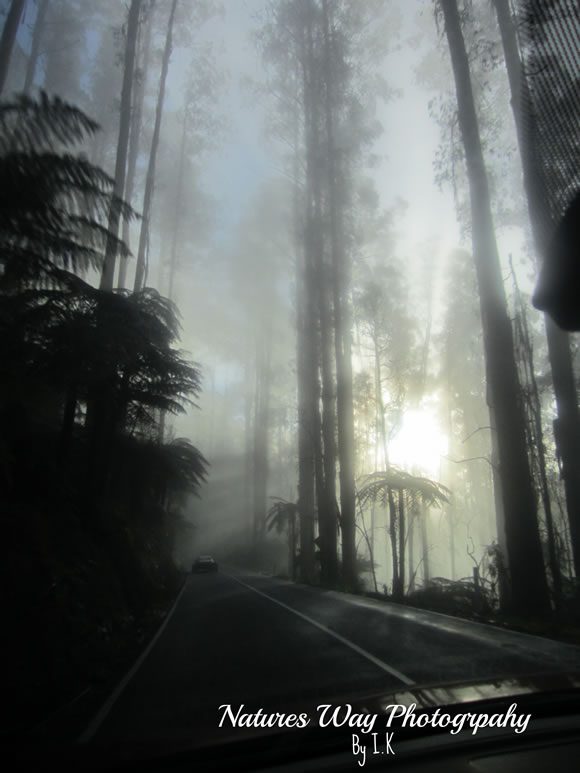 A Winters Morning