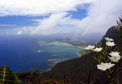 Mount Gower