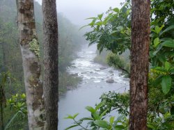 Tully Gorge Mist