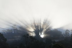 Sunrays