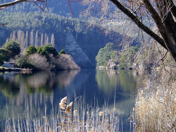 Derwent River