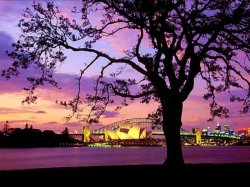 Sydney Harbour Sunset