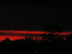 Sunset - Cherrybrook