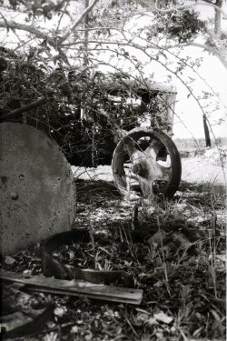 Old Work Horse
