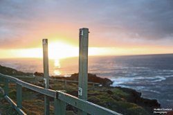 Headland Sunrise